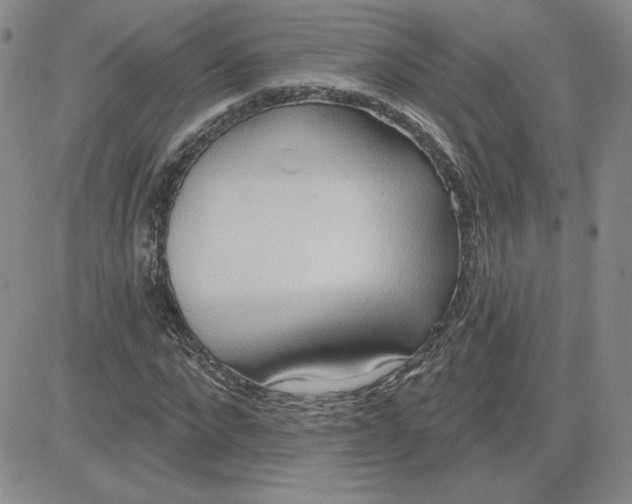 X0000081300872200701251715