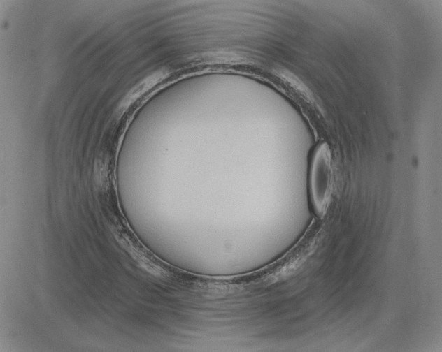 X0000081300873200701251715