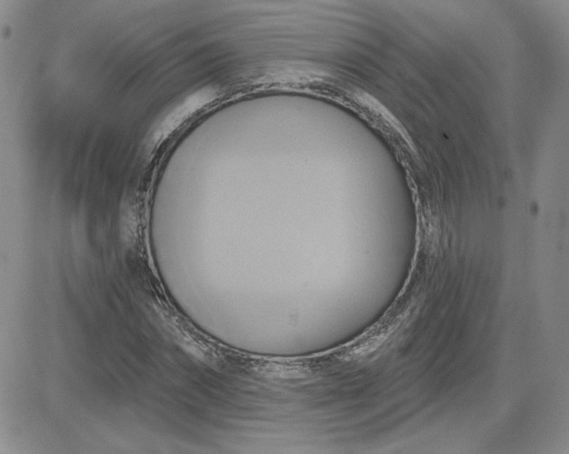 X0000081300874200701251715