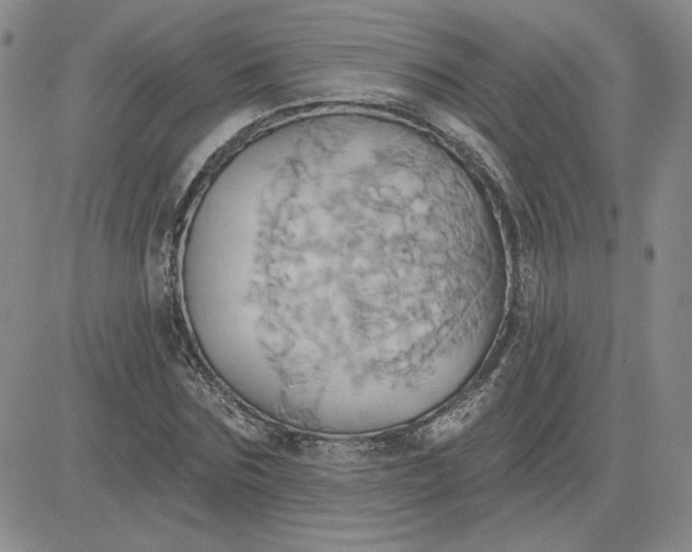 X0000081300875200701251715