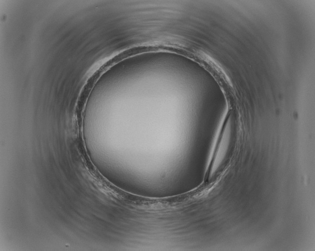 X0000081300876200701251715