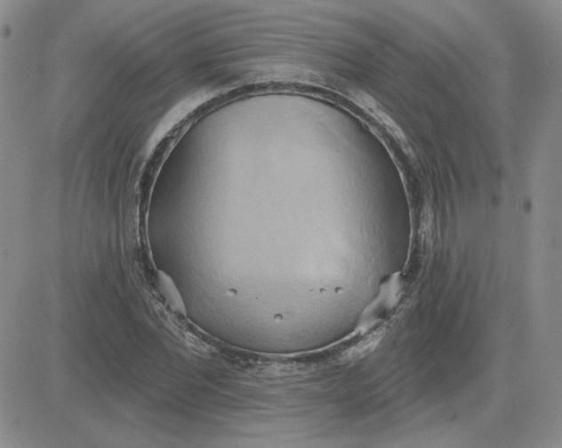 X0000081300877200701251715