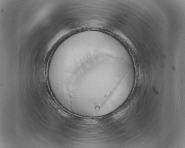 X0000081300878200701251715