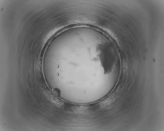 X0000081300879200701251715