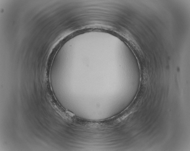 X0000081300880200701251715