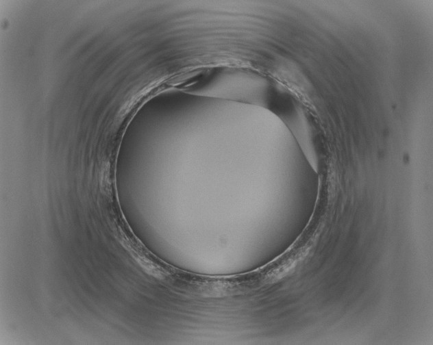 X0000081300881200701251715