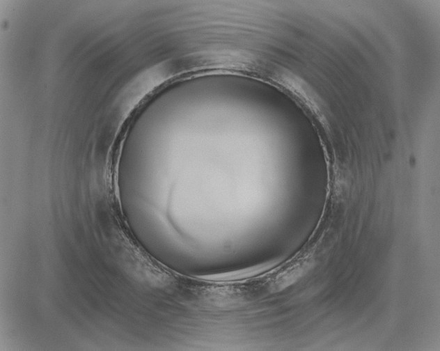 X0000081300883200701251715