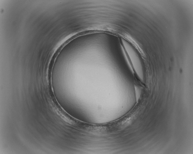 X0000081300884200701251715