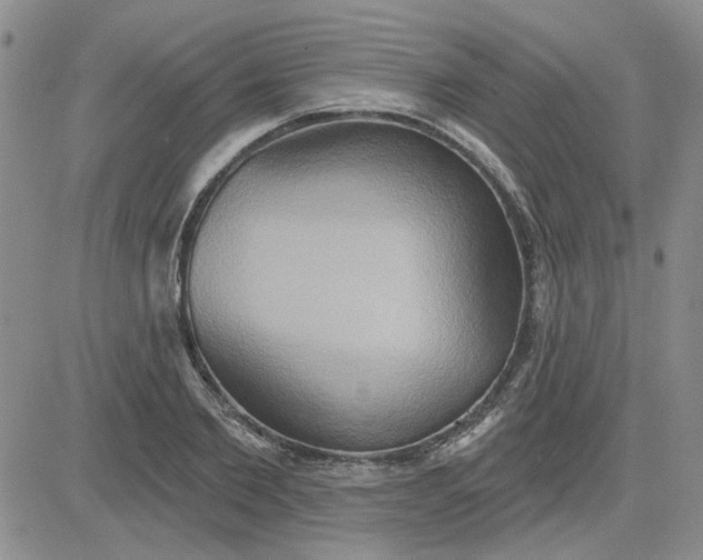 X0000081300885200701251715