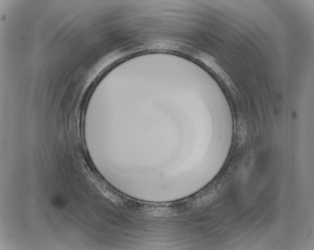 X0000081300886200701251715