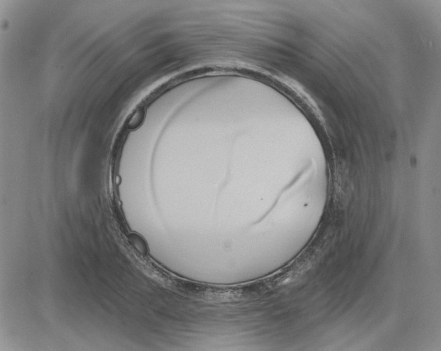 X0000081300887200701251715