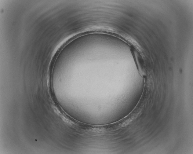 X0000081300888200701251715