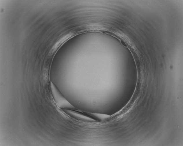 X0000081300889200701251715