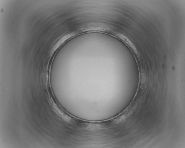 X0000081300890200701251715