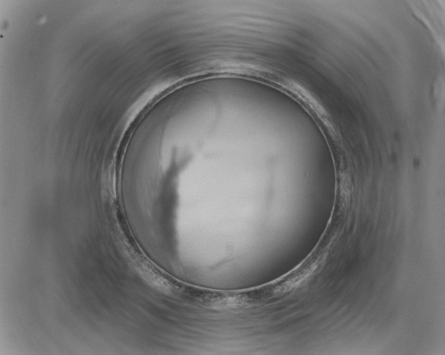 X0000081300891200701251715