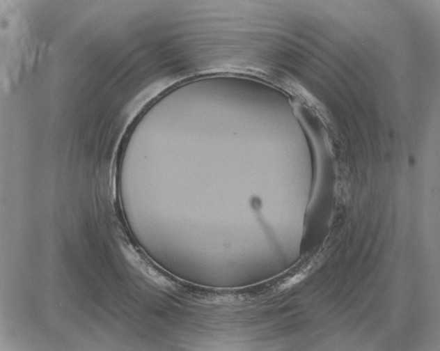 X0000081300892200701251715