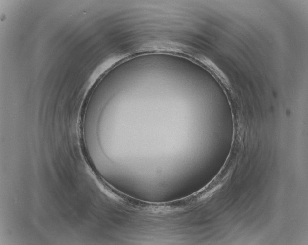 X0000081300893200701251715