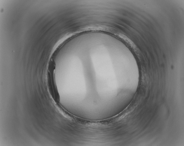 X0000081300894200701251715