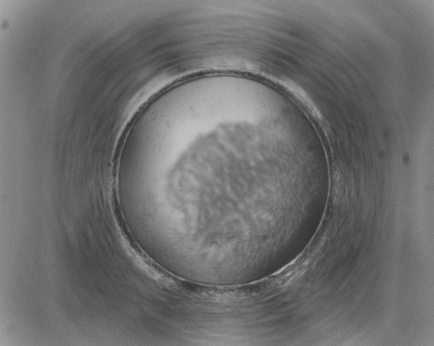 X0000081300895200701251715