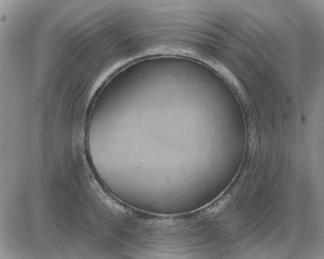 X0000081300896200701251715