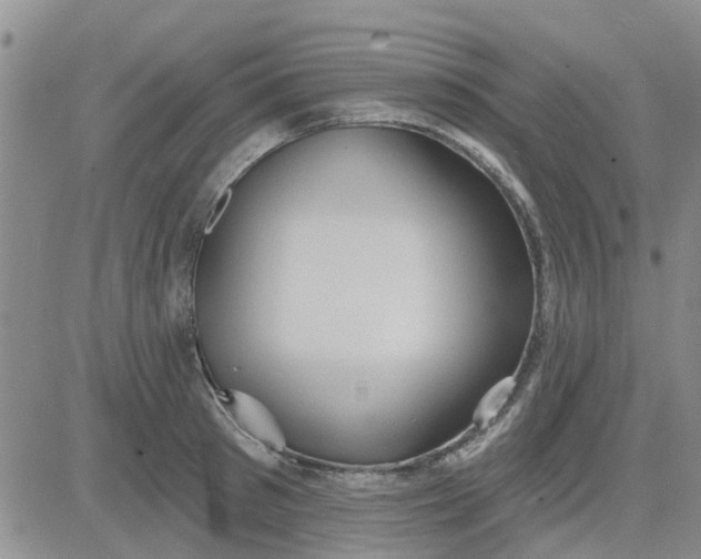 X0000081300897200701251715