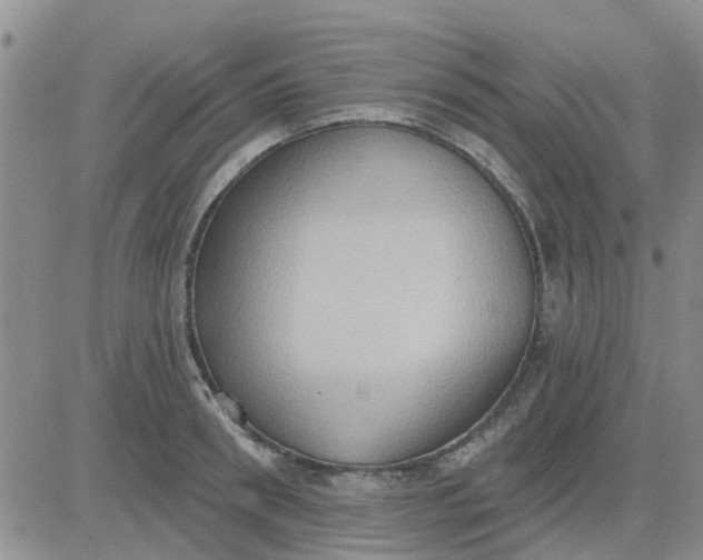 X0000081300898200701251715