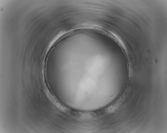 X0000081300899200701251715