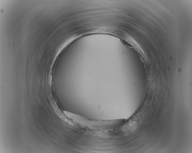 X0000081300900200701251715