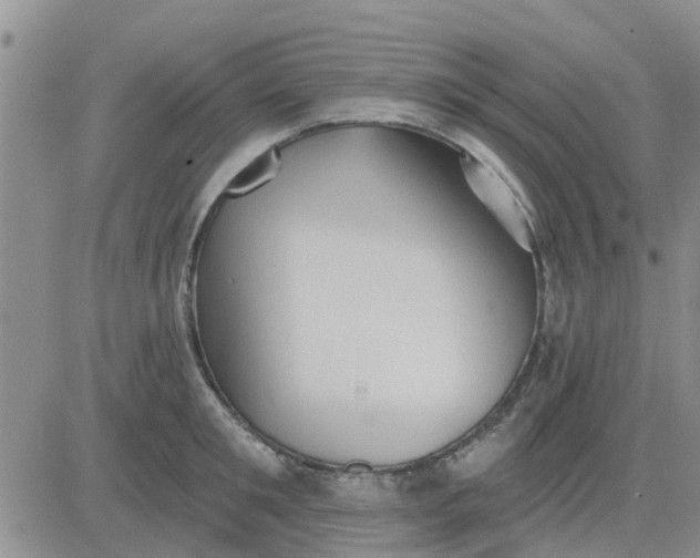 X0000081300901200701251715