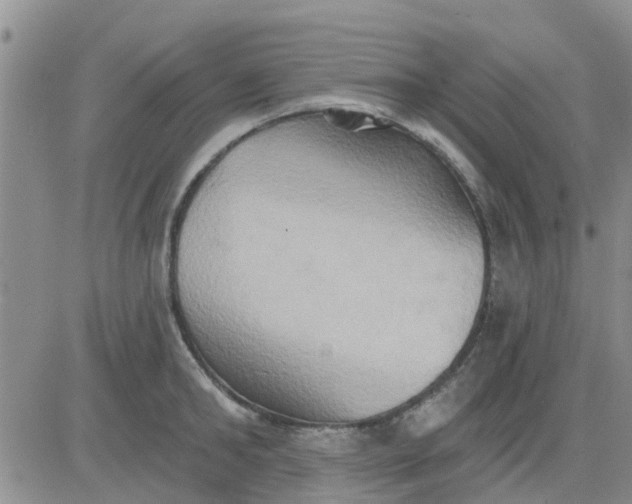 X0000081300902200701251715