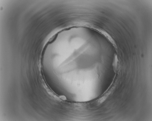 X0000081300904200701251715