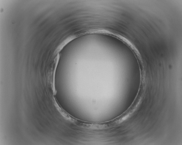 X0000081300905200701251715