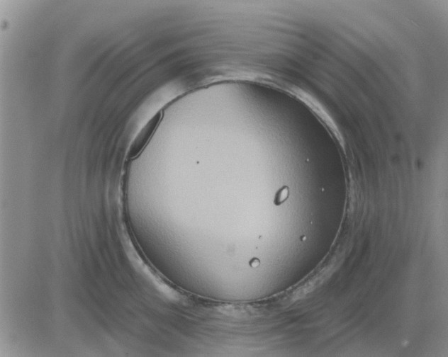 X0000081300906200701251715