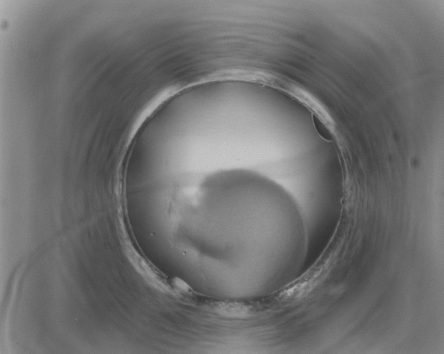 X0000081300907200701251715