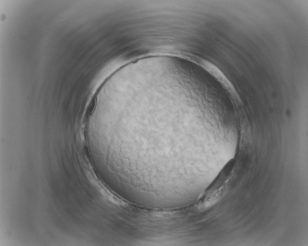 X0000081300908200701251715