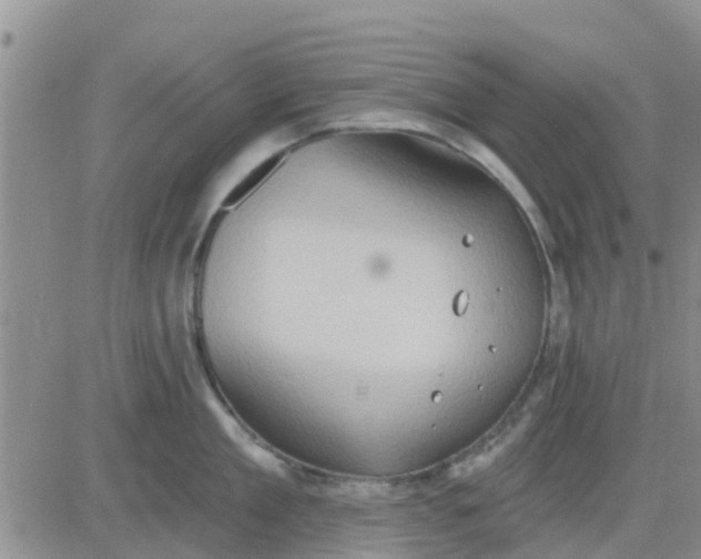 X0000081300909200701251715