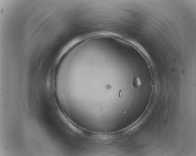 X0000081300910200701251715