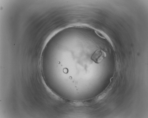 X0000081300911200701251715