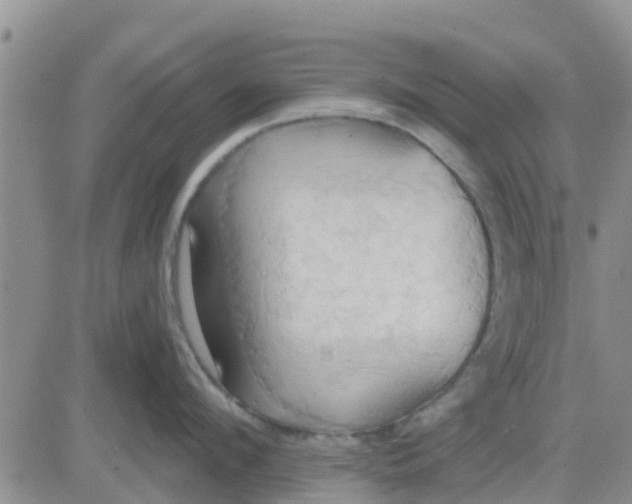 X0000081300912200701251715