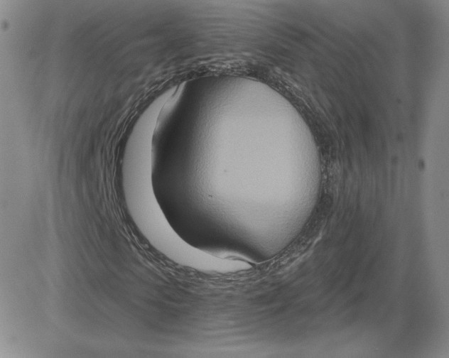 X0000081300913200701251714