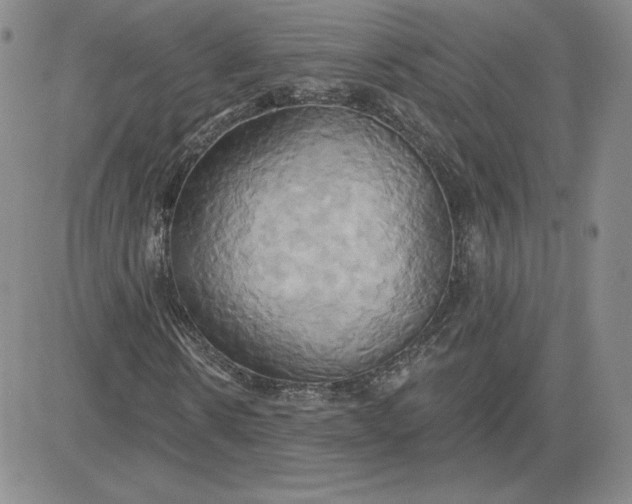 X0000081300914200701251714