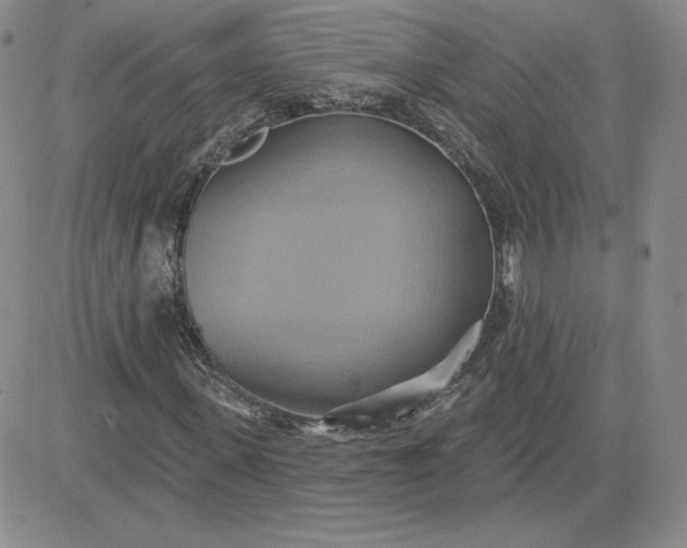 X0000081300915200701251714