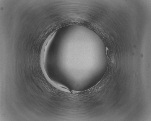 X0000081300916200701251714