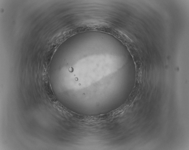 X0000081300917200701251714