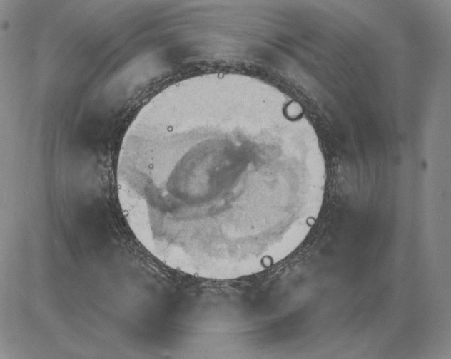 X0000081300918200701251714