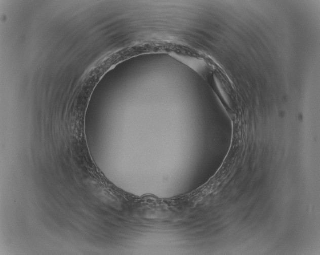 X0000081300919200701251714