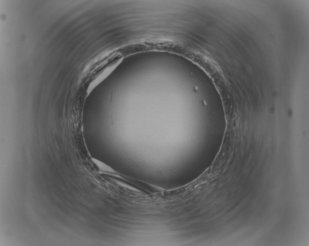 X0000081300920200701251714