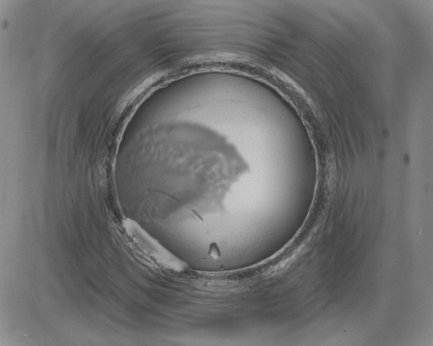 X0000081300921200701251714