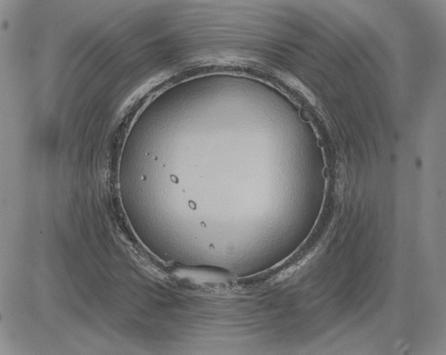 X0000081300922200701251714