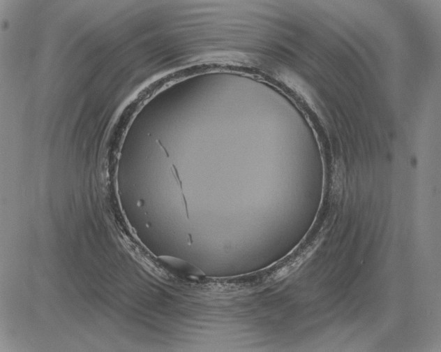 X0000081300923200701251714